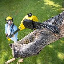 Best Arborist Consultation Services  in Winchester, TN