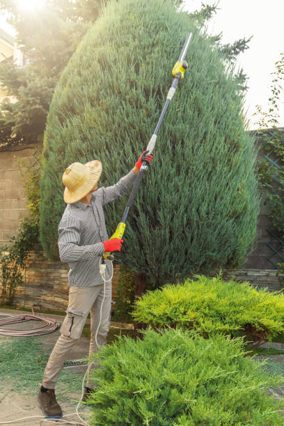 Best Tree Mulching  in Winchester, TN